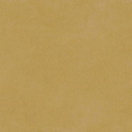 2419_21