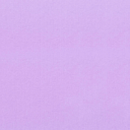 2492_41
